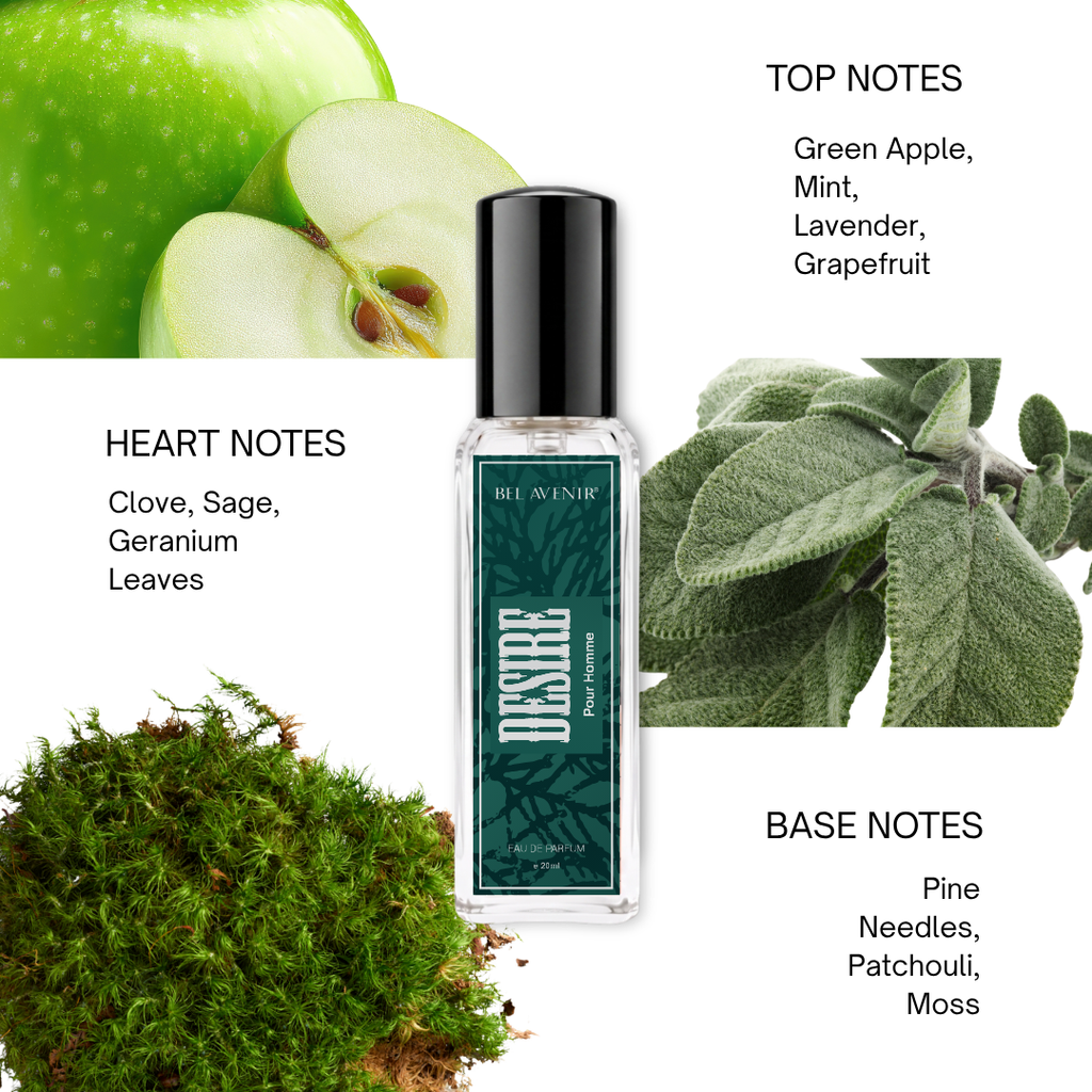 Bel Avenir Explorer Duo | Fellas & Desire - 20ml