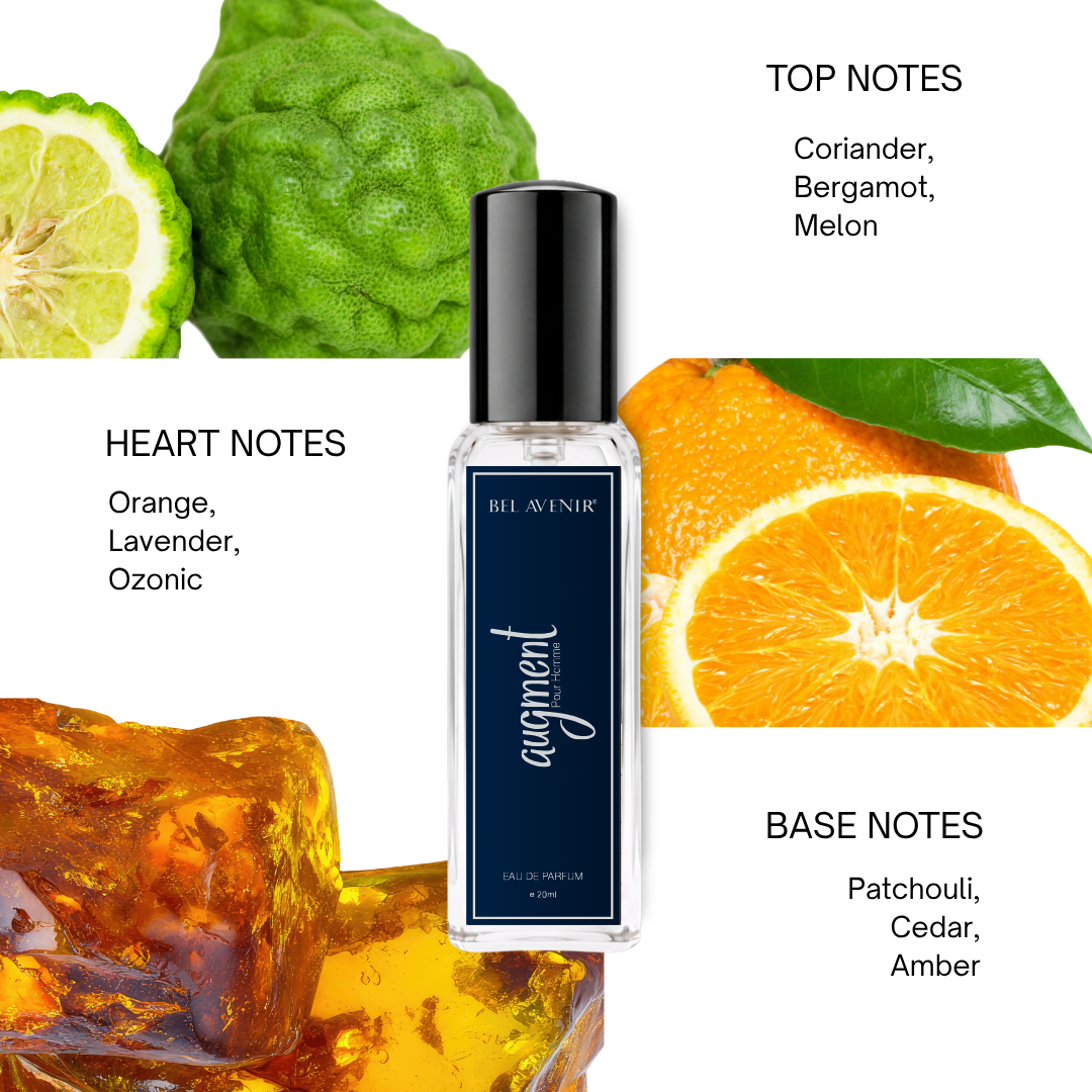 Bel Avenir Ultimate Men's Trio | Augment, Fellas & Desire - 20ml