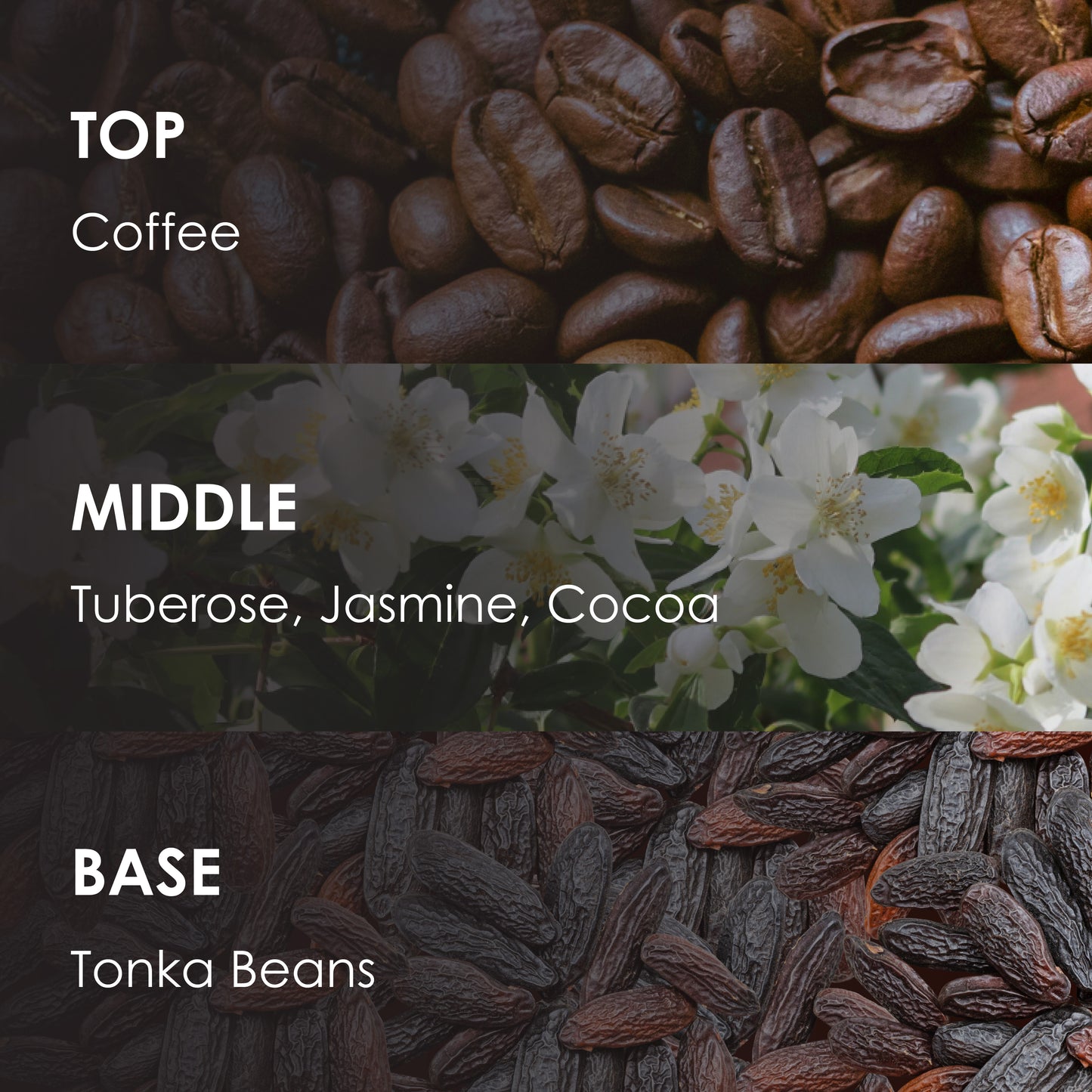 ESPERANZA Women - (100ml)