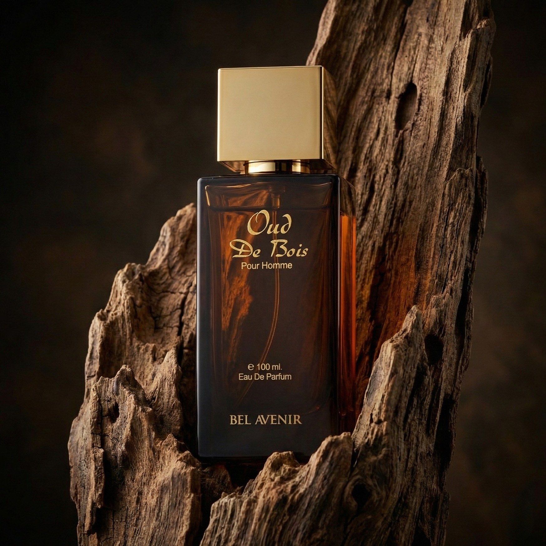 OUD DE BOIS Men - 100ml