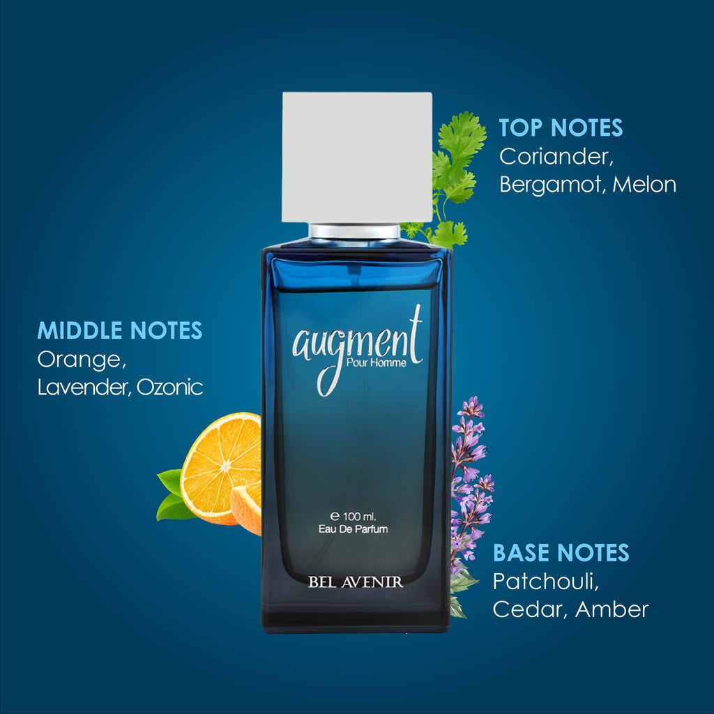 Audment AUGMENT Men - 100ml – Bel Avenir Perfumes