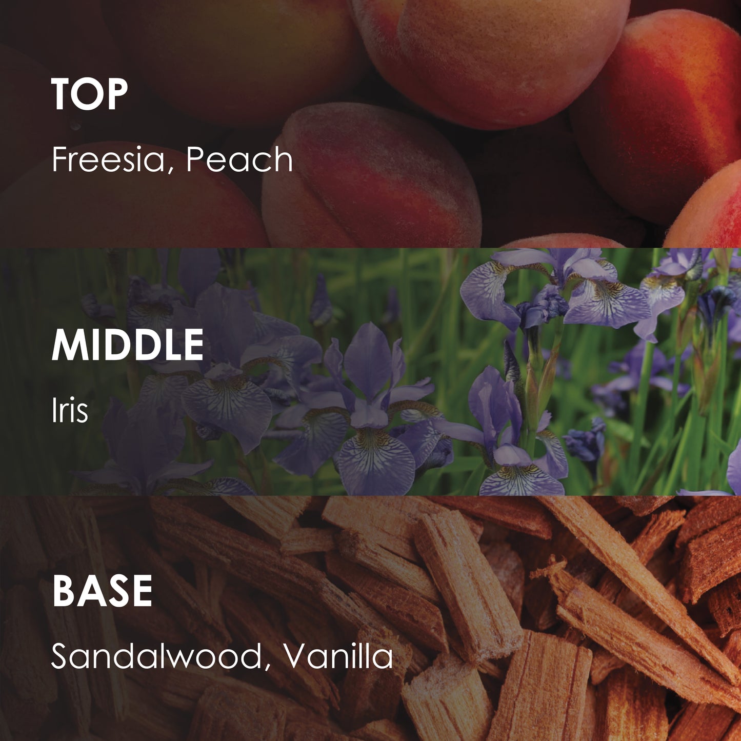 INTIMATE Women - (100ml)