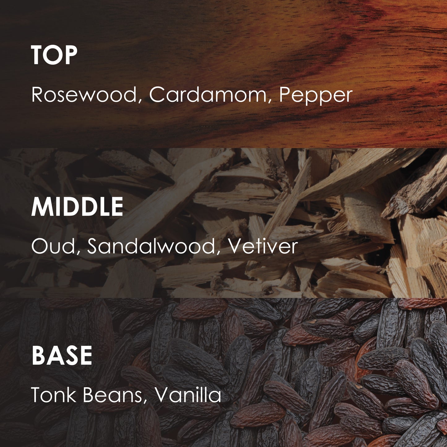 OUD DE BOIS Men - 100ml